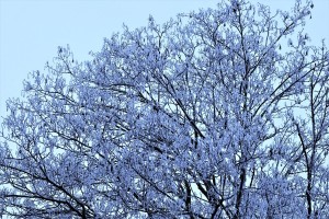 Winterdienst im Raum Idar-Oberstein, Kirn und Bad Sobernheim