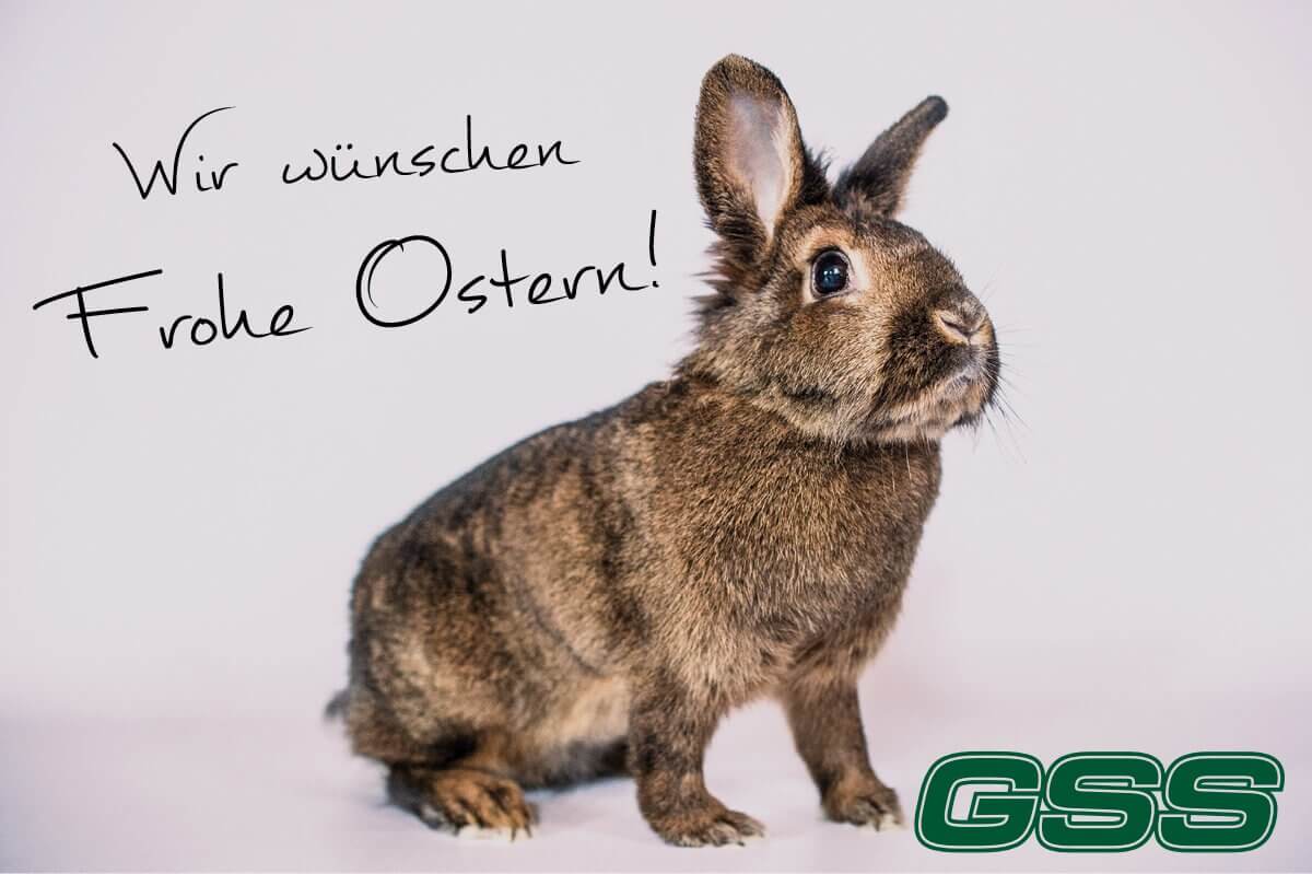 GSS Grundstück Service Sordon wünscht frohe Ostern