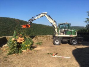 GSS Sordon entfernt die Rosskastanie auf dem Schloss Wartenstein