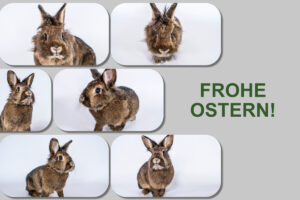 GSS Sordon Ostern 2021